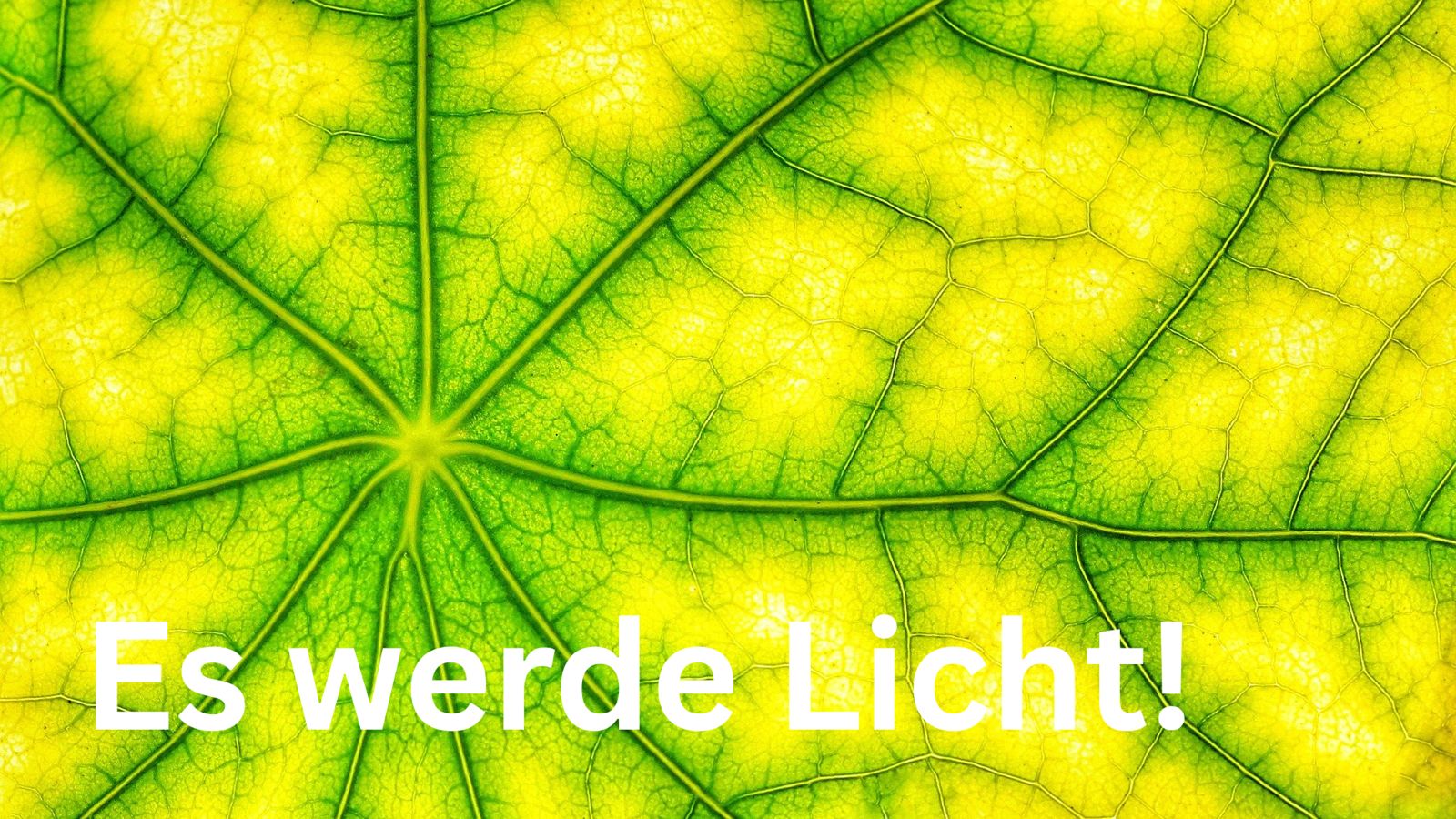 Es werde Licht